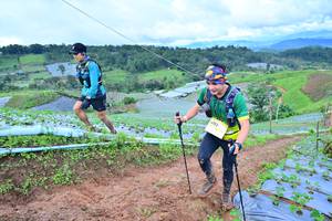 BIB: 
                            <button type="button" onclick="openModal(13379056)" class="btn btn-primary btn-sm float-right btn-popup" data-toggle="modal" data-target=".modal-high-quality">
                        <i class="fas fa-shopping-cart"></i> Add to Cart
                    </button>
                                            <button type="button" onclick="isThisMe(13379056, true)" class="btn btn-success btn-sm float-right btn-popup btn-isme hidden" data-toggle="tooltip" data-placement="bottom" title="นี่คือรูปของคุณใช่ไหม คลิกที่นี่เพื่อเอาเข้าอัลบั้ม">
                        <i class="fas fa-plus"></i> Add to album
                    </button>
                    <button type="button" onclick="isThisMe(13379056, false)" class="btn btn-warning btn-sm float-right btn-popup btn-isnotme hidden">
                        <i class="fas fa-ban"></i> Remove from album
                    </button>